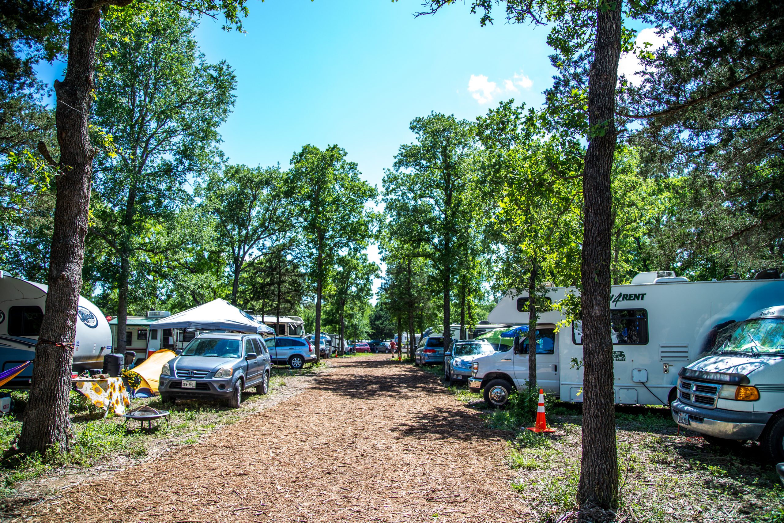 Tree covered campground with mulch roads